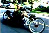Link to Pedalphiles